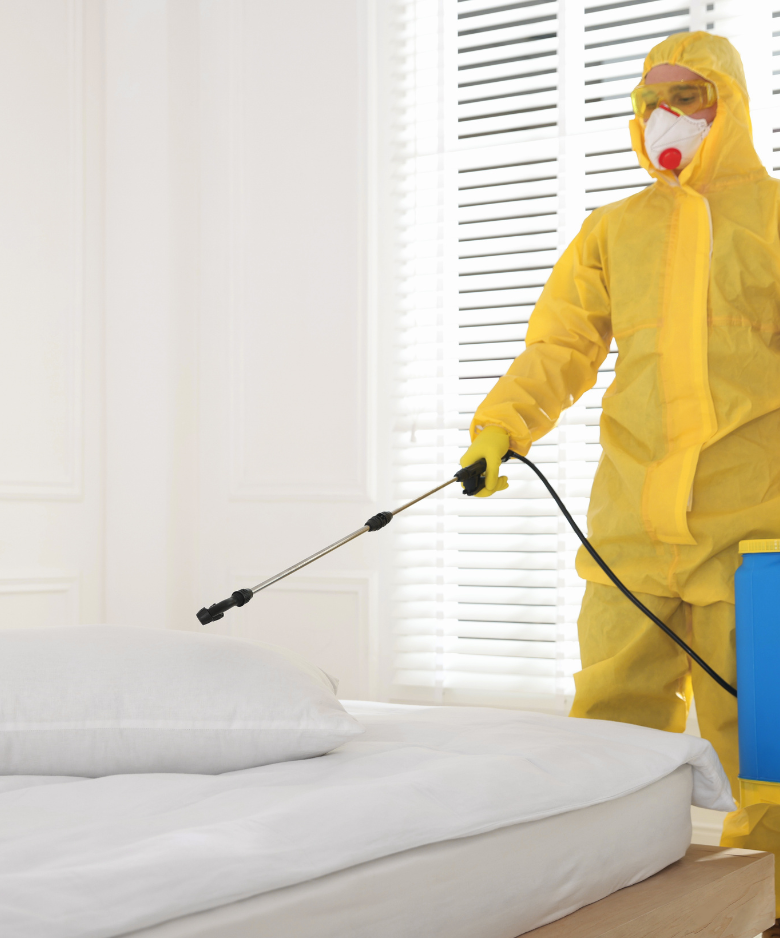 Professional Pest Control Team in Camden Park